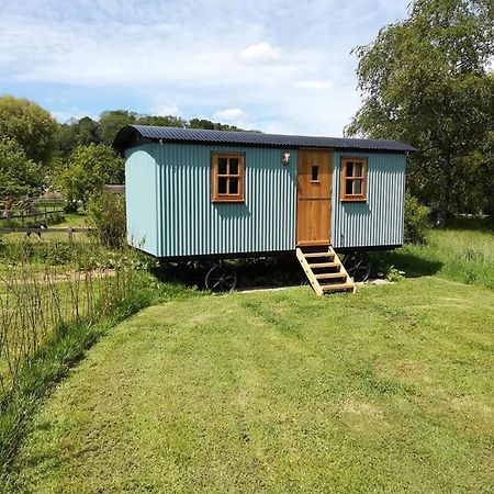 Gaggle Of Geese Pub - Shepherd Huts & Bell Tents Dorchester Exterior foto
